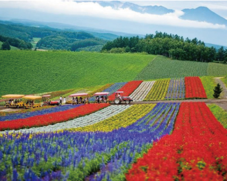 北海道輕鬆遊６天