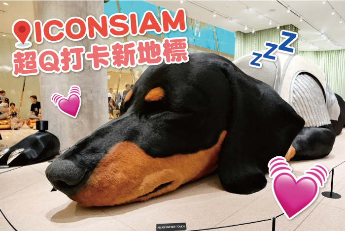 #會呼吸的巨型臘腸犬也來了 紅遍社群的HAUS NOWHERE來泰國啦🐶